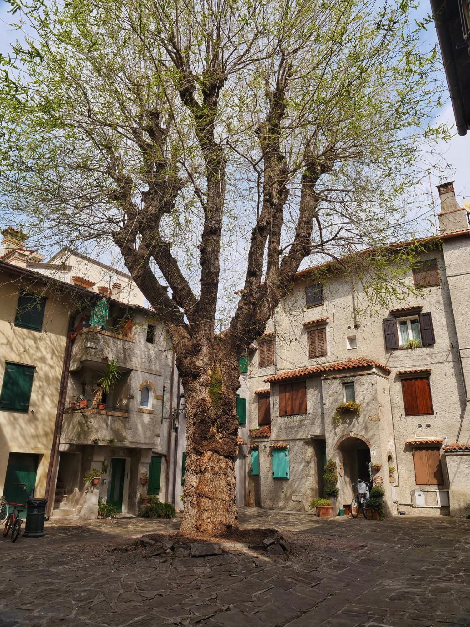 Casa Vianella - Romantico Monolocale Per Vivere Come Una Volta Grado Dış mekan fotoğraf